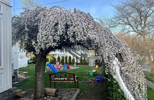 Oswego House | Spacious, centrally located 4-bedroom Home Near Fishing, Constellation, and SUNY