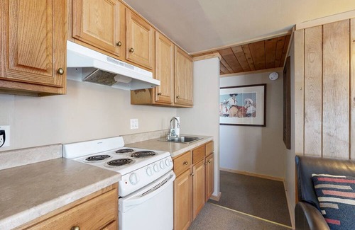 Naturita House | Mtn-view ground-floor aparthotel with patio, grill