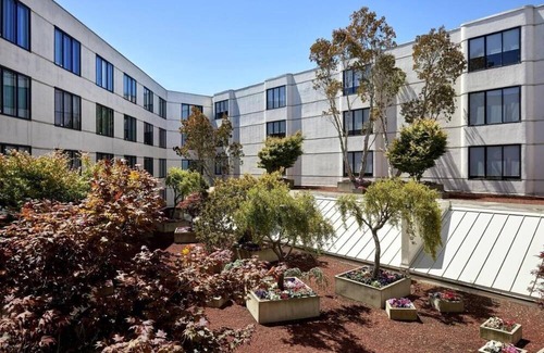 Fisherman's Wharf Apartment | King Room Near Dream Catcher Ventures SAN