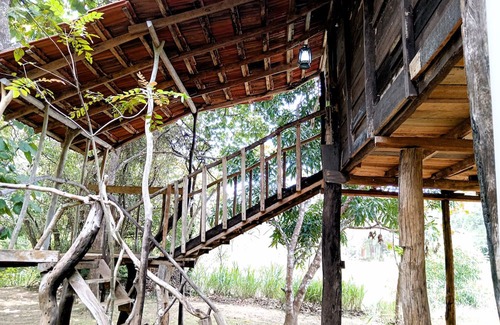 Habarana Cabin | Cabin 2 Twin Beds - Eagles Wing's Guest House