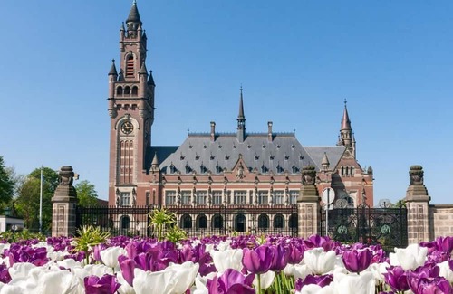 The Hague Center House | Ensuring a Very Comfortable & Memorable Stay! Pet-friendly Property!