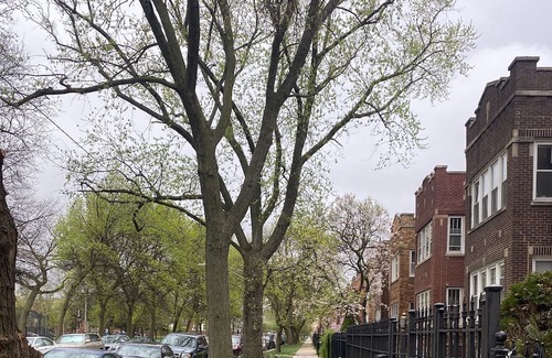 Logan Square Apartment | Nice quiet neighborhood with quick easy access to the best Chicago has to offer