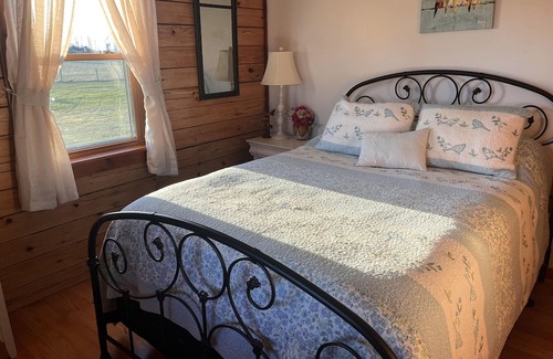 Geneseo Cabin | The Cozy Cabin On Long Point