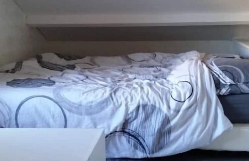 Villenave-d'Ornon Ski Chalet | Chalet au Fond du Jardin