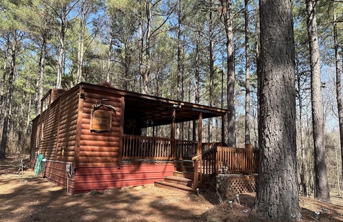 Dover Cabin | NEW LISTING! Private Cabin with Big Piney Creek frontage!