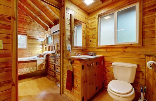 Marmot Cabin | Secluded cabin with pond views, streaming, W/D, & partial AC - dog-friendly