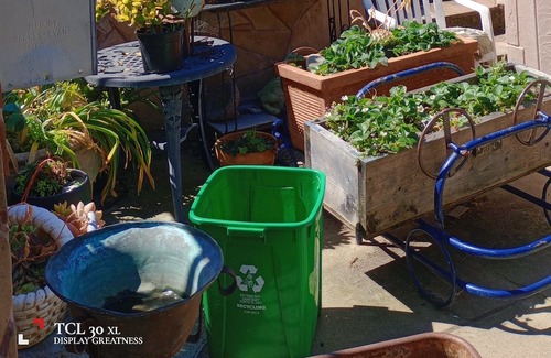 Pinole Apartment | Excellent privacy on this Hill
