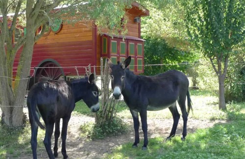 Sedeilhac House | Homerez - Beautiful bungalow for 4 ppl. with terrace at Sédeilhac