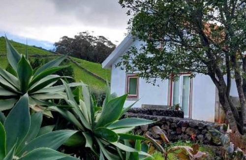 Angra do Heroismo Bed & Breakfast | Casa de Campo Franco da Serra - Deluxe Double Room