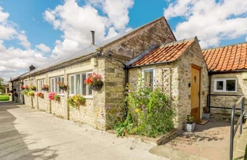 Newton-on-Rawcliffe House | Picturesque cottage w/pool in North York Moors