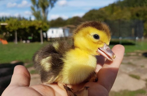 Anlhiac Bed & Breakfast | Modern Times Family bedroom