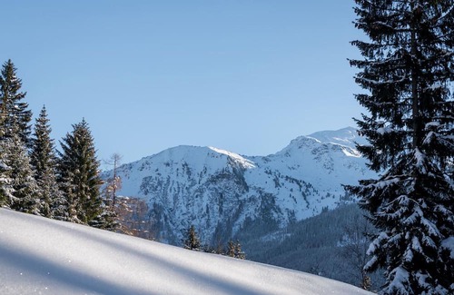 Schwaz Apartment | Apartment mit 3 Schlafzimmern - City Apartments Schwaz