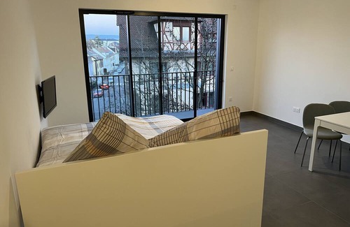 Saint-Louis Apartment | Wohnung Saint Louis Elsass, Nähe Basel , Flughafen, Dreiländereck, Wlan