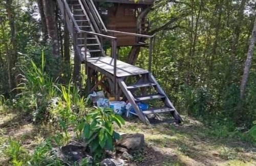 Deshaies Cabin | Cabane de Sissi