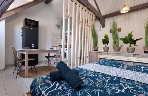 Quartier Centre Ville Apartment | Studio Équipé: Massy Tgv, Rer, Orly Proche Paris et Commerces