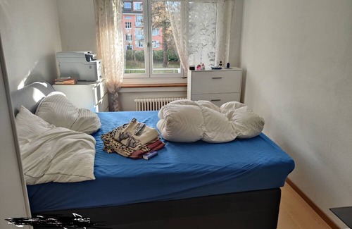 Wollishofen Apartment | Zurich 2 bedroom with balcony