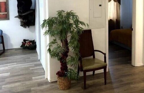 Wasilla House | Bear B&B!!!