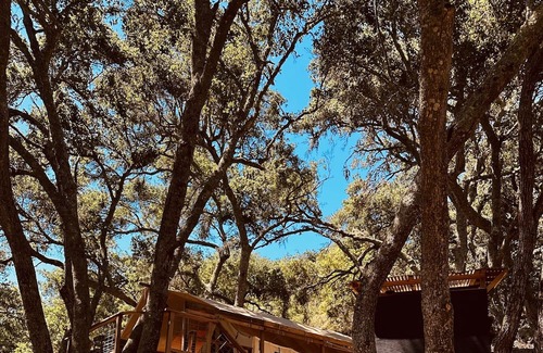 Santa Barbara House | Canvas under the oaks, 15 minutes to downtown Santa Barbara, 10 to beaches