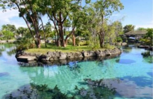 Colliers Bay Resort | Grand Cayman Wyndham Reef Resort studio