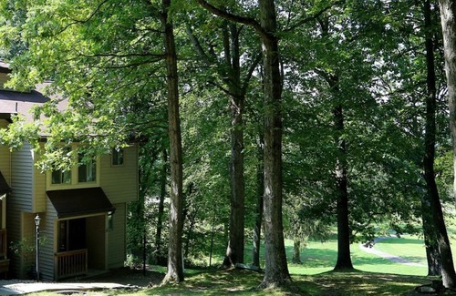 Cheat Lake House | Morgantown 2BR with Stunning Views