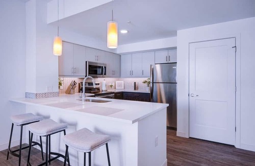 Monroe Ward Apartment | Modern Elegance-Downtown RVA!