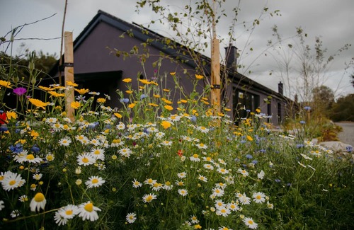 Laragh Cottage | Welcome to The Deerstone Hideaway.n