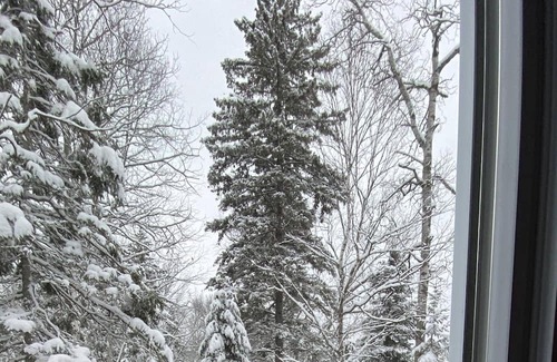 Piopolis Ski Chalet | En Forêt, Tranquille, Sans Voisin Proche Mais Proche de Tout