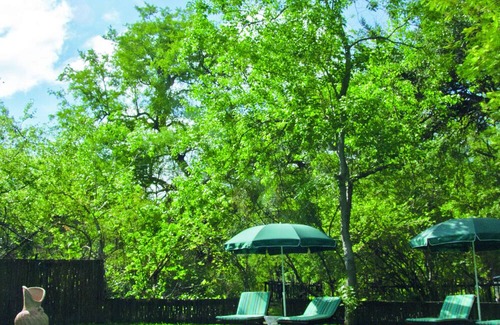 Muneambuanas Cabin | Lianshulu Lodge