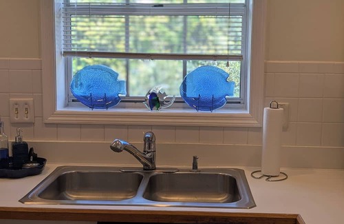 Lutz Condo | The Lighthouse 1 bedroom Pet friendly