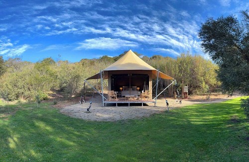 Fingal Cabin | Submerse yourself in nature - Unique Glamping experience, Mornington Peninsula.