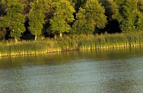 Selkirk Cabin | Cozy 2 room cabin viewing the water from your front deck.