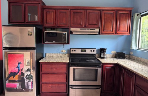 Playa Ocotal Condo | Birds of a Feather 2BR/2BA Ocotal Coastal Retreat