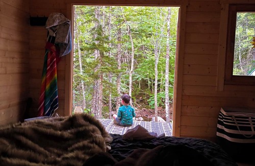 Dingwall Cabin | Big Leo’s River View Cabin