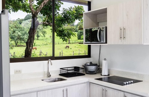 Bijagua Cabin | Cozy Lodge near Río Celeste with AC