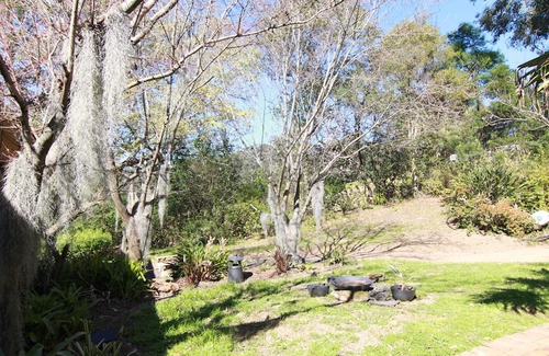 Grose Vale House | Mountain view magic: Enjoy peace and tranquility in this sunny home