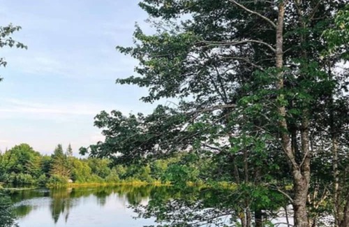 Erbs Cove Condo | Flora studio on the lake 🌿