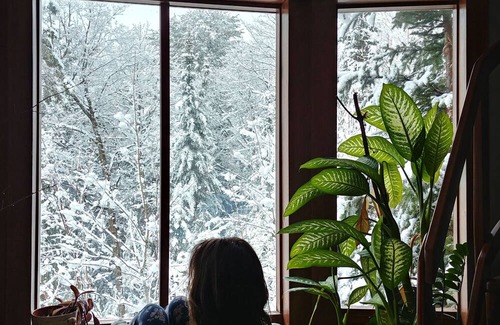 Val David Ski Chalet | Maison du luthier - 2 km from Val-David village, in the middle of the forest! Ideal for families