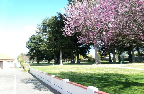 Napier Hotel | The Napier Nest Motel Experience