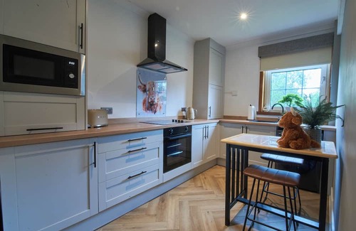 Dalavich Apartment | Luxury Flat - Baker St-StirlingnKick back and relax in this calm, restful space.