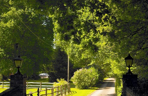 Liphook House | Countryside Retreat on Surrey/Hampshire Border