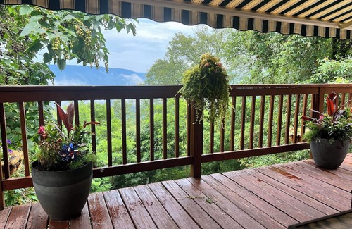 Old Fields House | The Mountain House on High Knob - Dog Friendly!