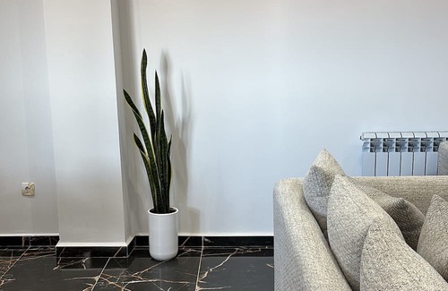 Algiers Apartment | Bright Sea View 3-bedroom apartment in Raïs Hamidou