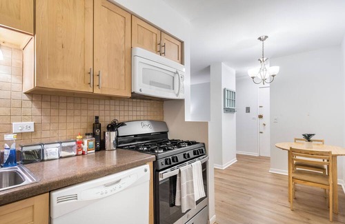 Lake View East Apartment | Pristine Lakeview l Boystown l Wrigley Haven l Beach