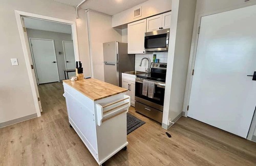 North Central Omaha Apartment | The Papillion Summary