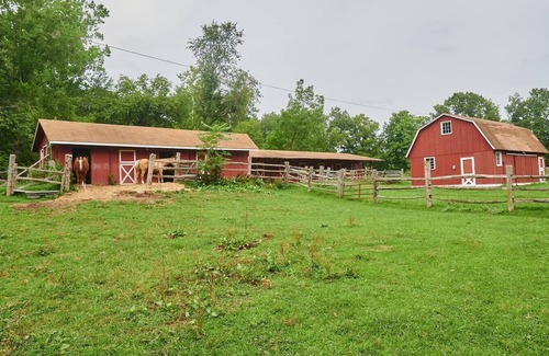 Johnsonburg House | Private Cozy 2BR Lakefront, 200-Acre Estate