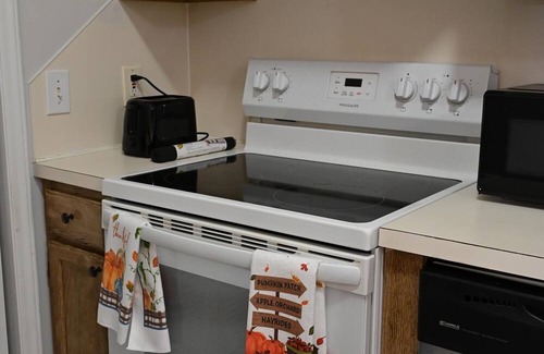 Greenville Apartment | Charming 2-bedroom apartment with Great central location in Greenville
