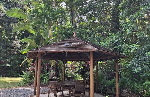 Cow Bay House | creek, close to beach, cassowaries, acreage, rainforest, swimming holes