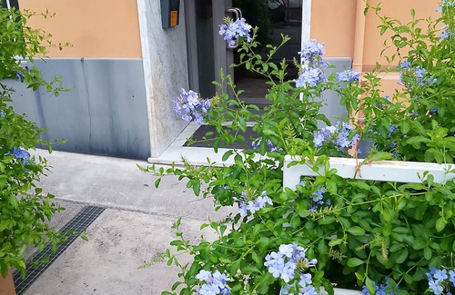 Pegli Apartment | Work travel and more