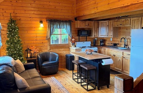 Delevan Cabin | Quiet Secluded Hilltop Log Cabin on a Gravel Road
