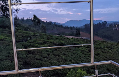 Ooty Cottage | Beautiful 7 Separate bedroom cottage and container wood house in Ooty